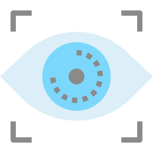Biometric recognition icon