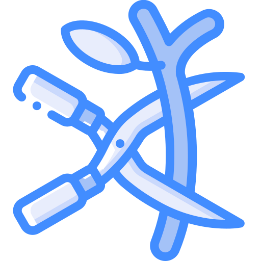 Branch 图标