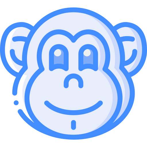 Monkey 상