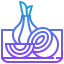 Onion icon 64x64