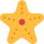 Starfish 상 64x64