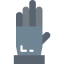 Gloves icon 64x64