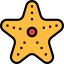 Starfish icon 64x64
