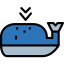 Whale icon 64x64