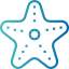 Starfish アイコン 64x64