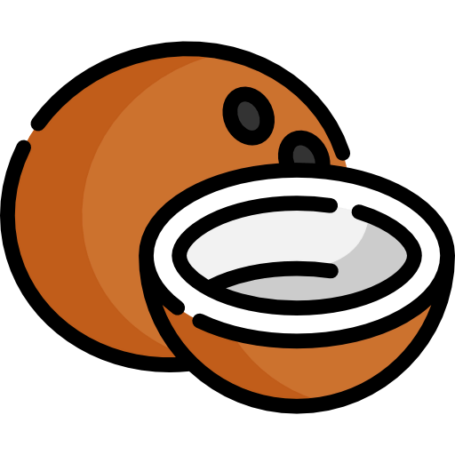 Coconut icon