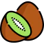 Kiwi icon 64x64