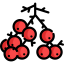 Berries icon 64x64