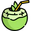 Coconut 图标 64x64