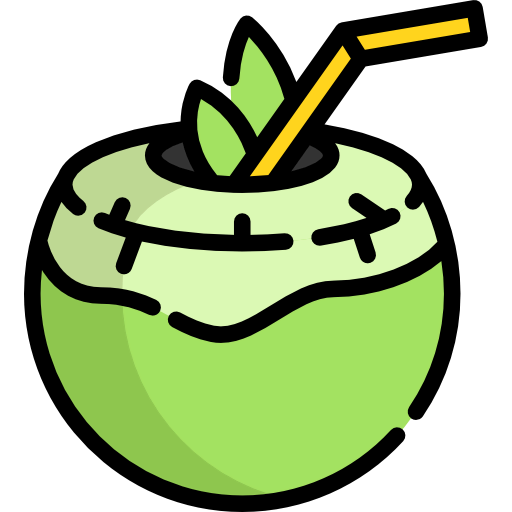 Coconut icon