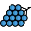 Grapes icon 64x64