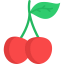Cherry icon 64x64