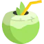 Coconut 图标 64x64