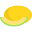 Melon icon 64x64