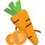 Carrot icon 64x64