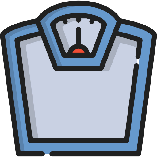 Scale icon