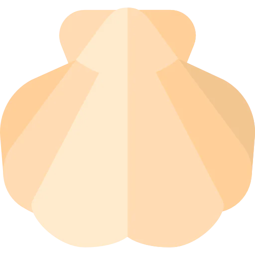 Seashell 图标