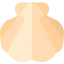 Seashell 图标 64x64