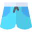 Swimsuit 图标 64x64