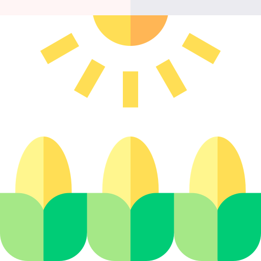 Light icon