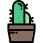 Cactus icon 64x64