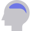 Brain アイコン 64x64