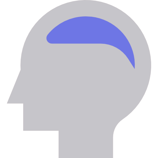 Brain icon