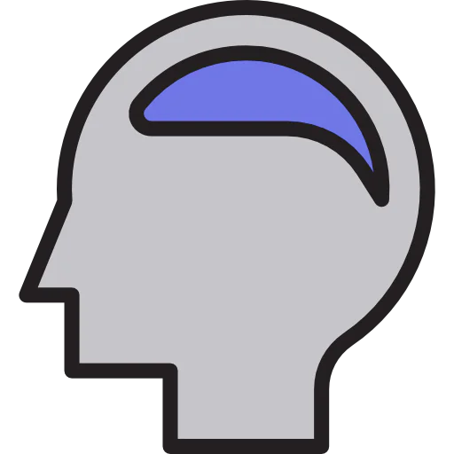 Brain icon