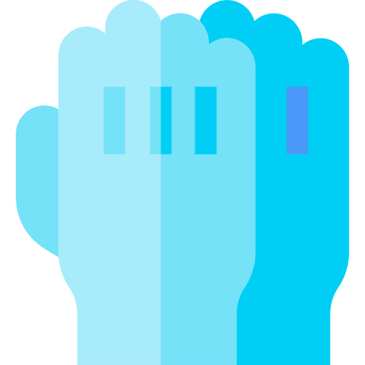 Gloves icon