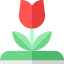 Flower アイコン 64x64