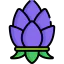 Lotus icon 64x64