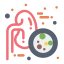 Kidney icon 64x64