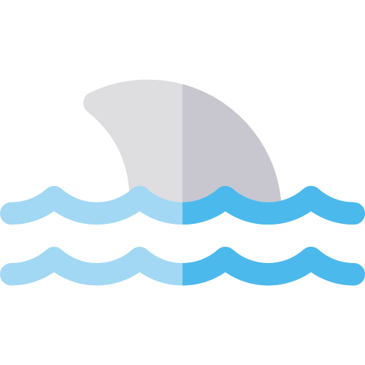 Shark 图标