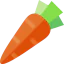 Carrot icon 64x64