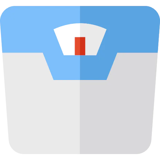 Scale icon