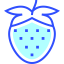 Berries icon 64x64