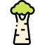 Баобаб иконка 64x64