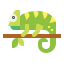 Chameleon icon 64x64