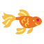 Goldfish icon 64x64