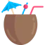 Coconut icon 64x64