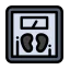 Scale icon 64x64