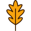 Leaf icon 64x64