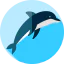 Dolphin Ikona 64x64