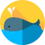 Whale icon 64x64