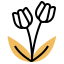 Tulips icon 64x64
