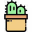 Cactus icon 64x64