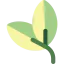 Leaves icon 64x64