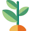 Plant icon 64x64