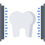 Molar icon 64x64