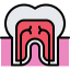 Molar icon 64x64